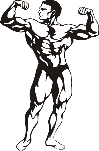 Body Builder Clip Art at Clker.com - vector clip art online ...