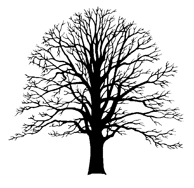 We could think about a tree image again but very simple, add a ...