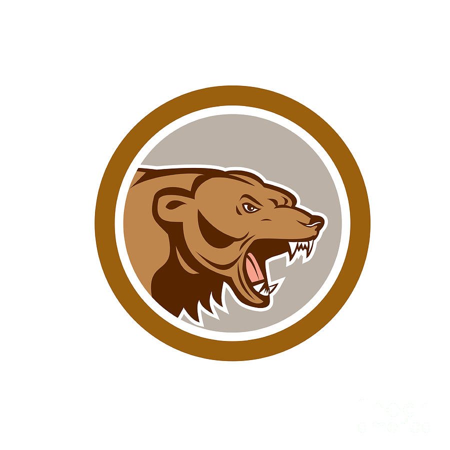 Angry Grizzly Bear Head Circle Cartoon by Aloysius Patrimonio