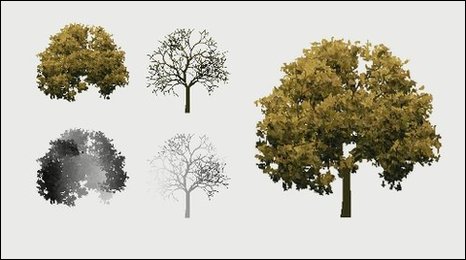 BBC - Bath University makes animated trees more life-like