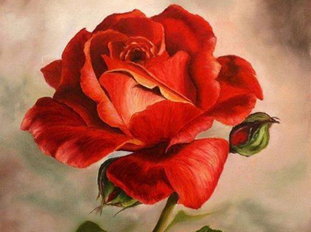 Beautiful Art Rose - Other & Abstract Background Wallpapers on ...