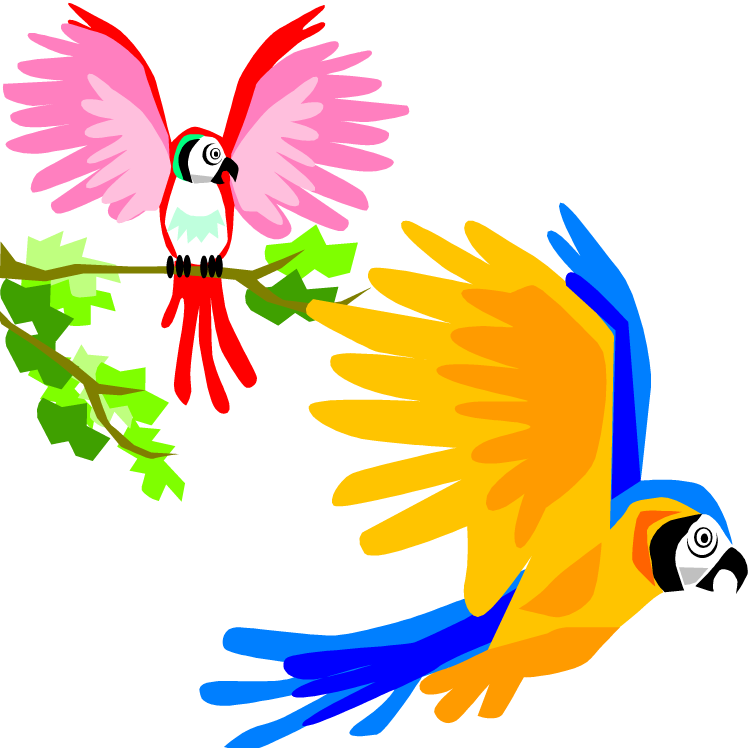 Free Parrot and Macaw Clipart