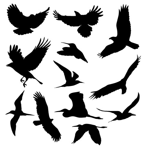 Over 200 Free and Premium Vector Birds to Use in Your Projects ...