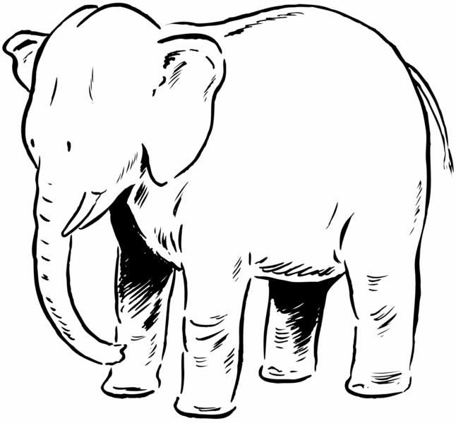 Elephant Pics For Kids - ClipArt Best
