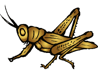 Locust Clip Art - Cliparts.co