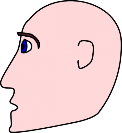 Man Head Side Bald clip art - Download free Other vectors