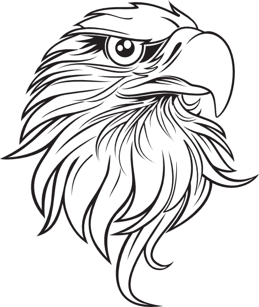 Eagle Head Outline Images & Pictures - Becuo