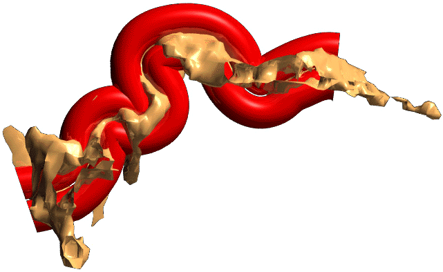 Computer Animations for the Ph.D. Thesis: Mathematical and ...