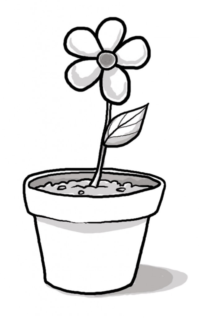 Flower pot | MyChurchToolbox.org
