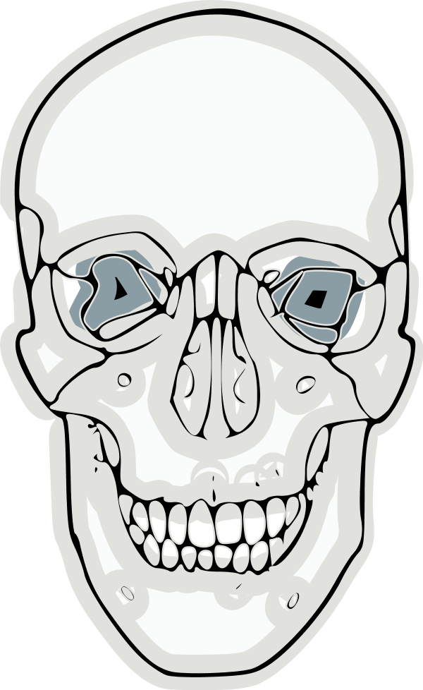 skull smiling - vector Clip Art