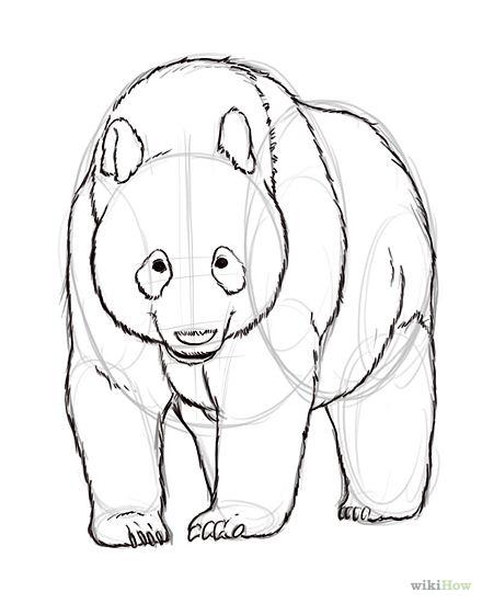 How to Draw Realistic Panda Bears: 6 Steps (with Pictures)