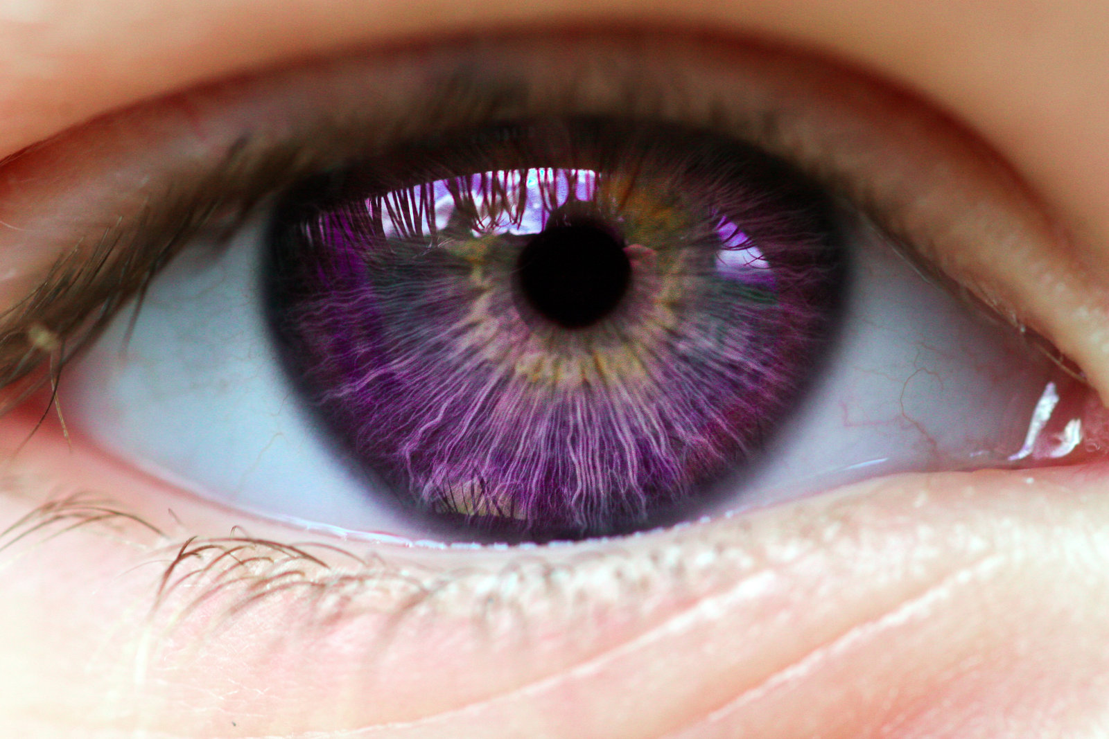 What Should Your Fantasy Eye Color Really Be? | PlayBuzz