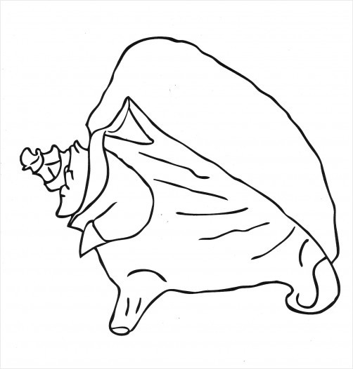 Conch Shell Drawing | RedGage