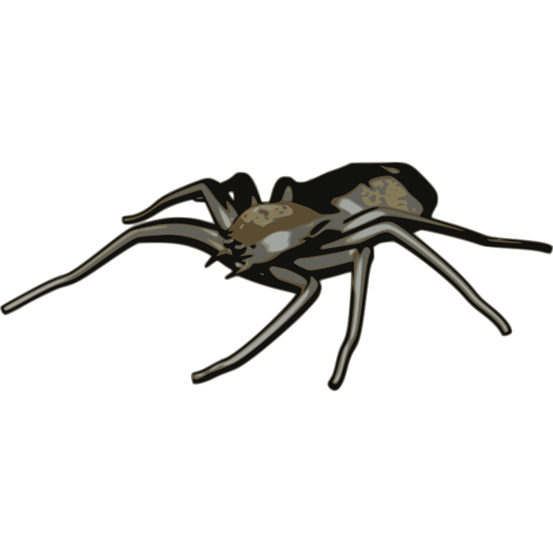 Clipart - Spider