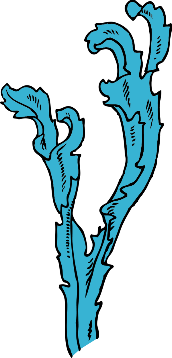 seaweed - vector Clip Art