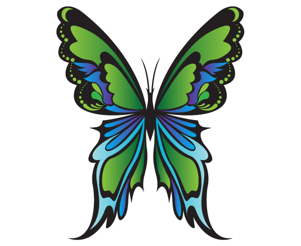 Free Green Butterfly Vector Graphics Free Download