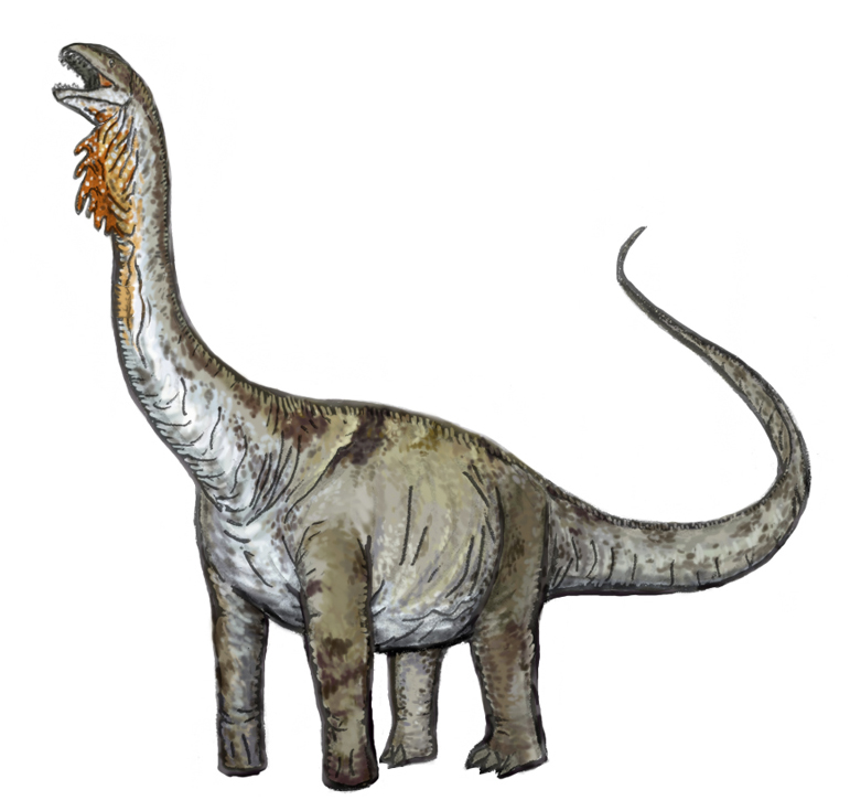 Wikipedia:WikiProject Dinosaurs/Image review - Wikipedia, the free ...