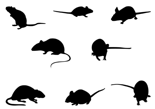 Rodent Silhouette Vector GraphicsSilhouette Clip Art