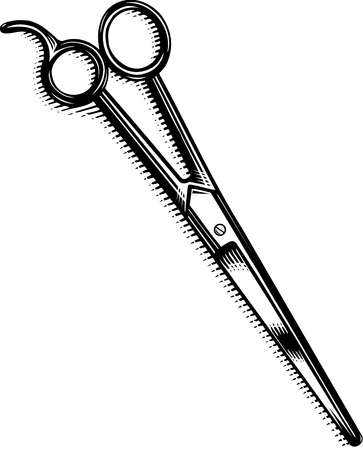 Stock Illustration - A pair of scissors