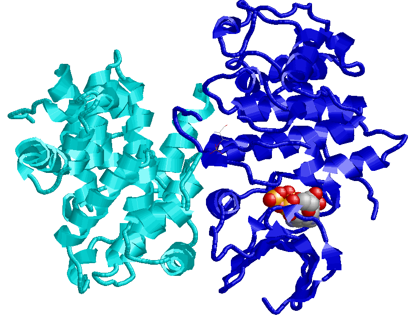 BCMB 8010, Advanced Biochemistry and Molecular Biology