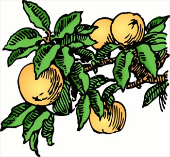 Free Peaches Clipart - Free Clipart Graphics, Images and Photos ...