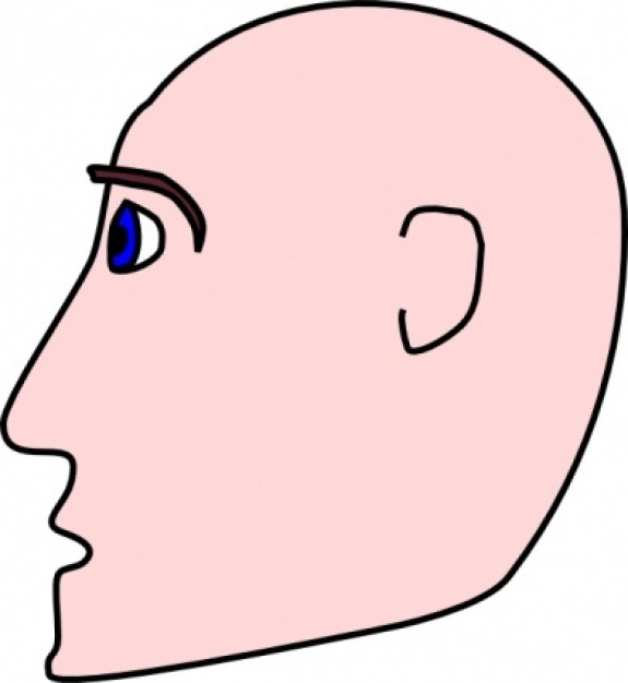 Man Head Side Bald clip art Vector | Free Download