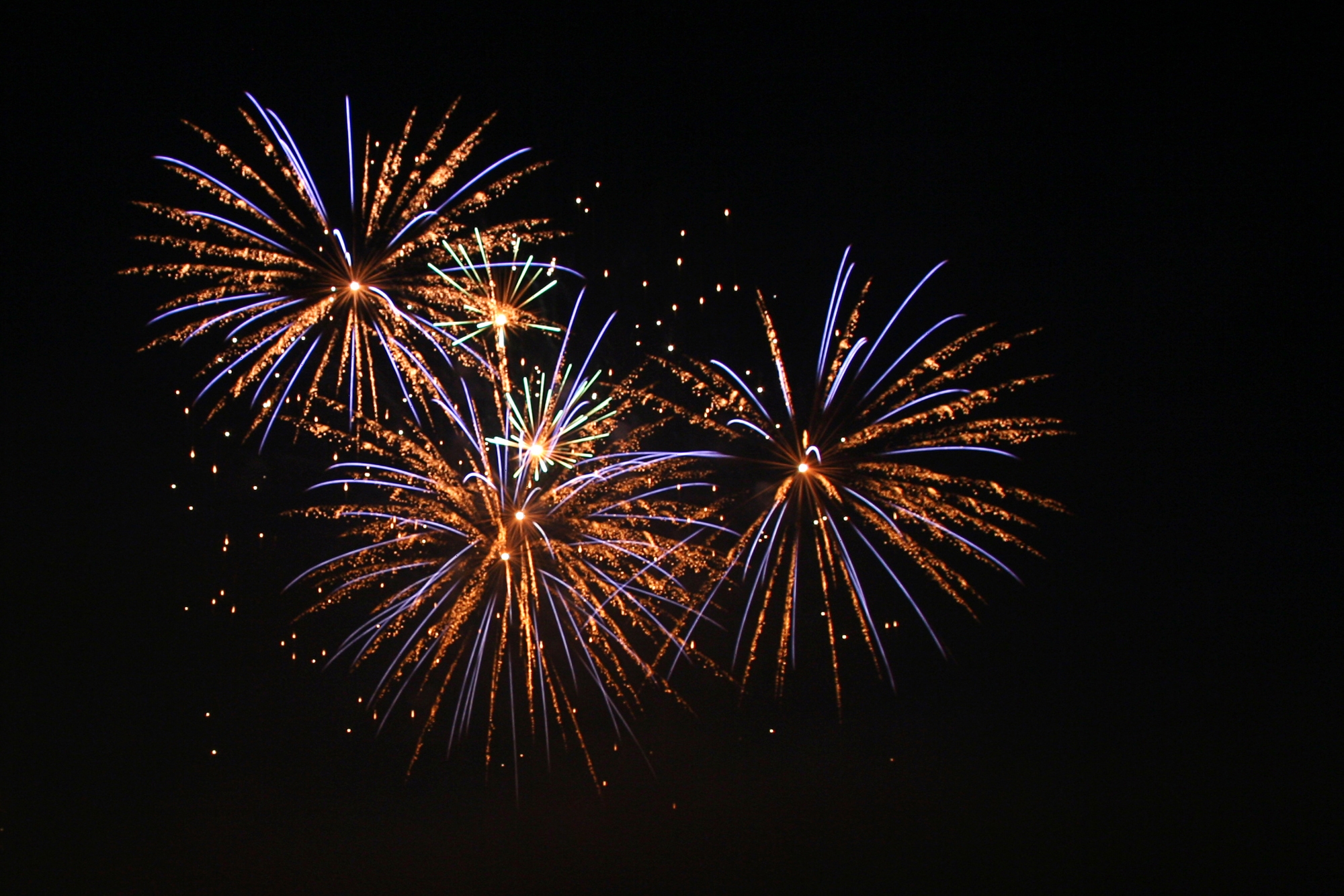 Unexpected Fireworks Leave Some Veterans On Edge | WUFT News