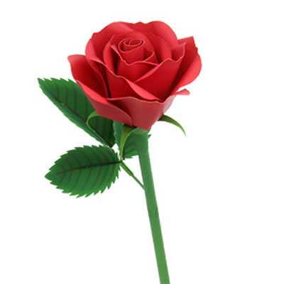 How to make rose flower from paper? DIY Paper rose for valentine gift