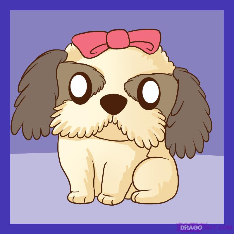 How to Draw a Shih tzu, Step by Step, Pets, Animals, FREE Online ...
