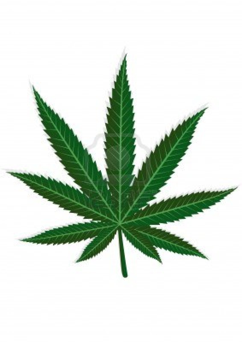 Ted Cruz | Impacto Latin News ™