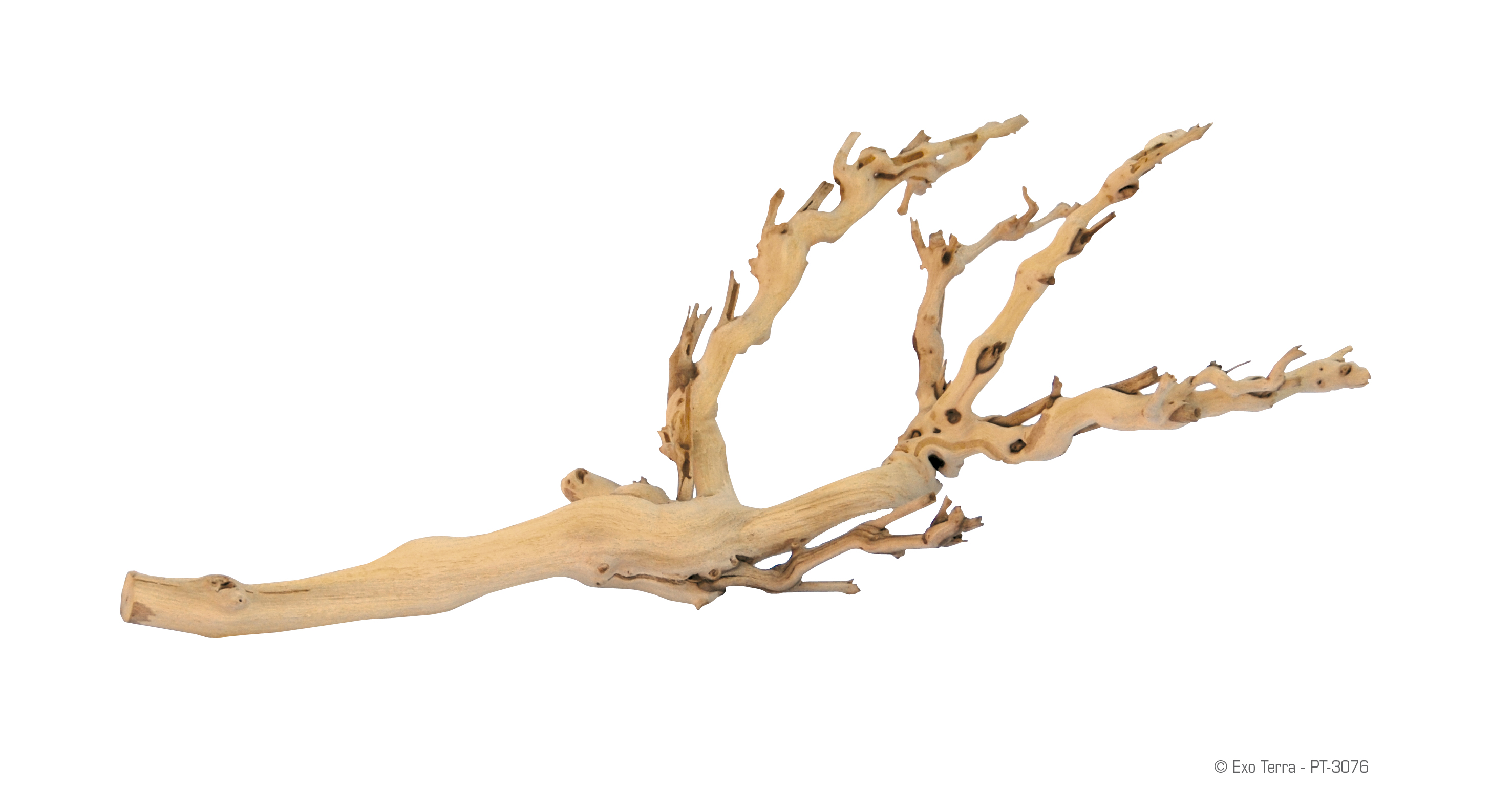 Exo Terra : Forest Branch / Sandblasted Grape Vine
