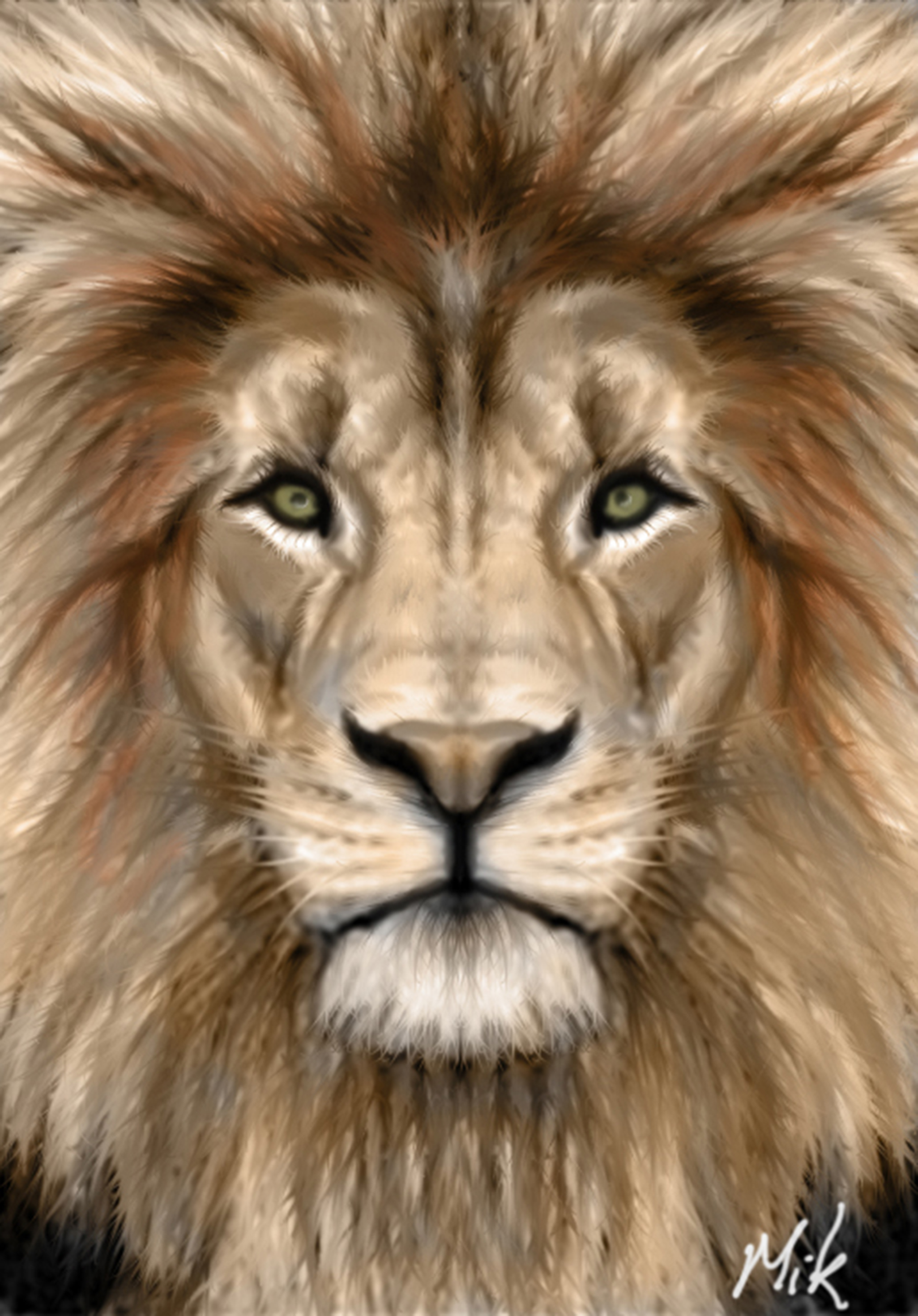 Lion-face-3.jpg | Animal Pictures