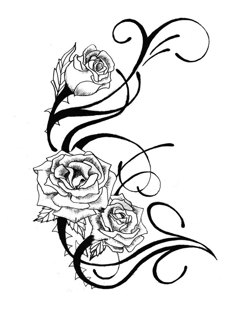 Line Drawing Rose - Cliparts.co