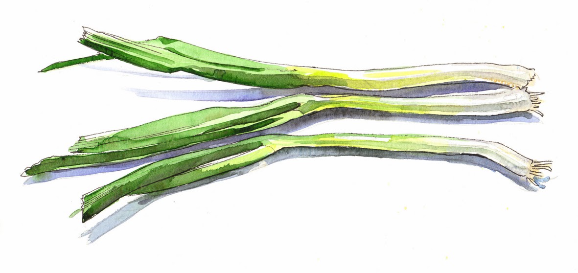 lineandwash: spring onions