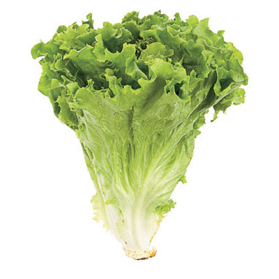 lettucegreenleaf.jpg
