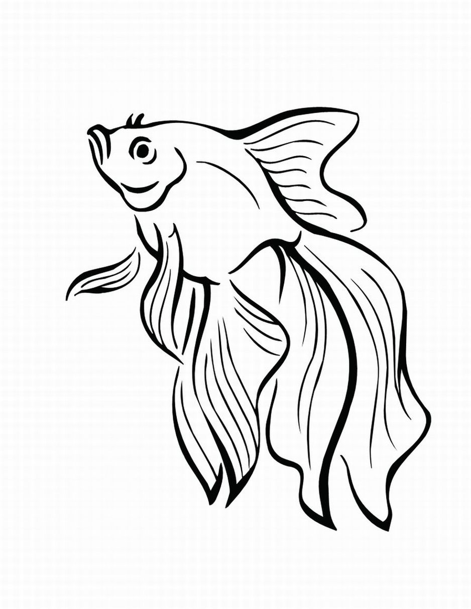 Fish Coloring Pages | GrapictSlep