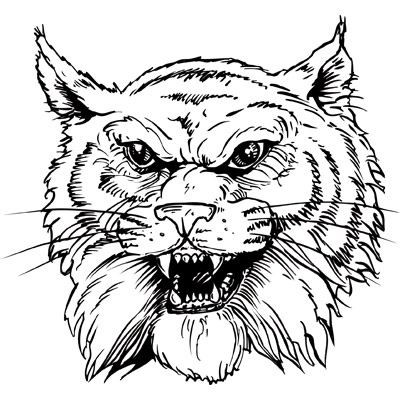 Mascot Design Options