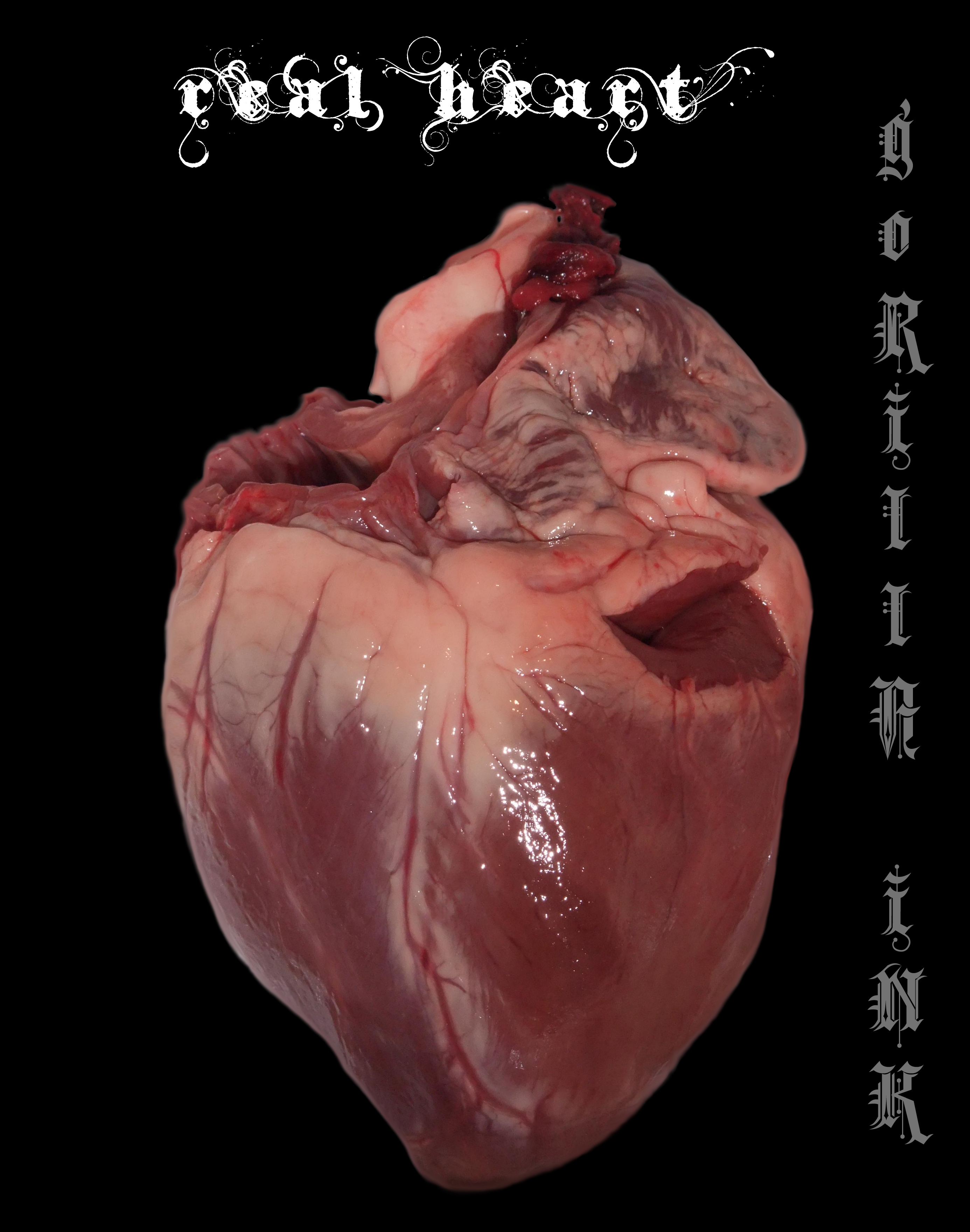 DeviantArt: More Like Real Heart by goRillA-iNK