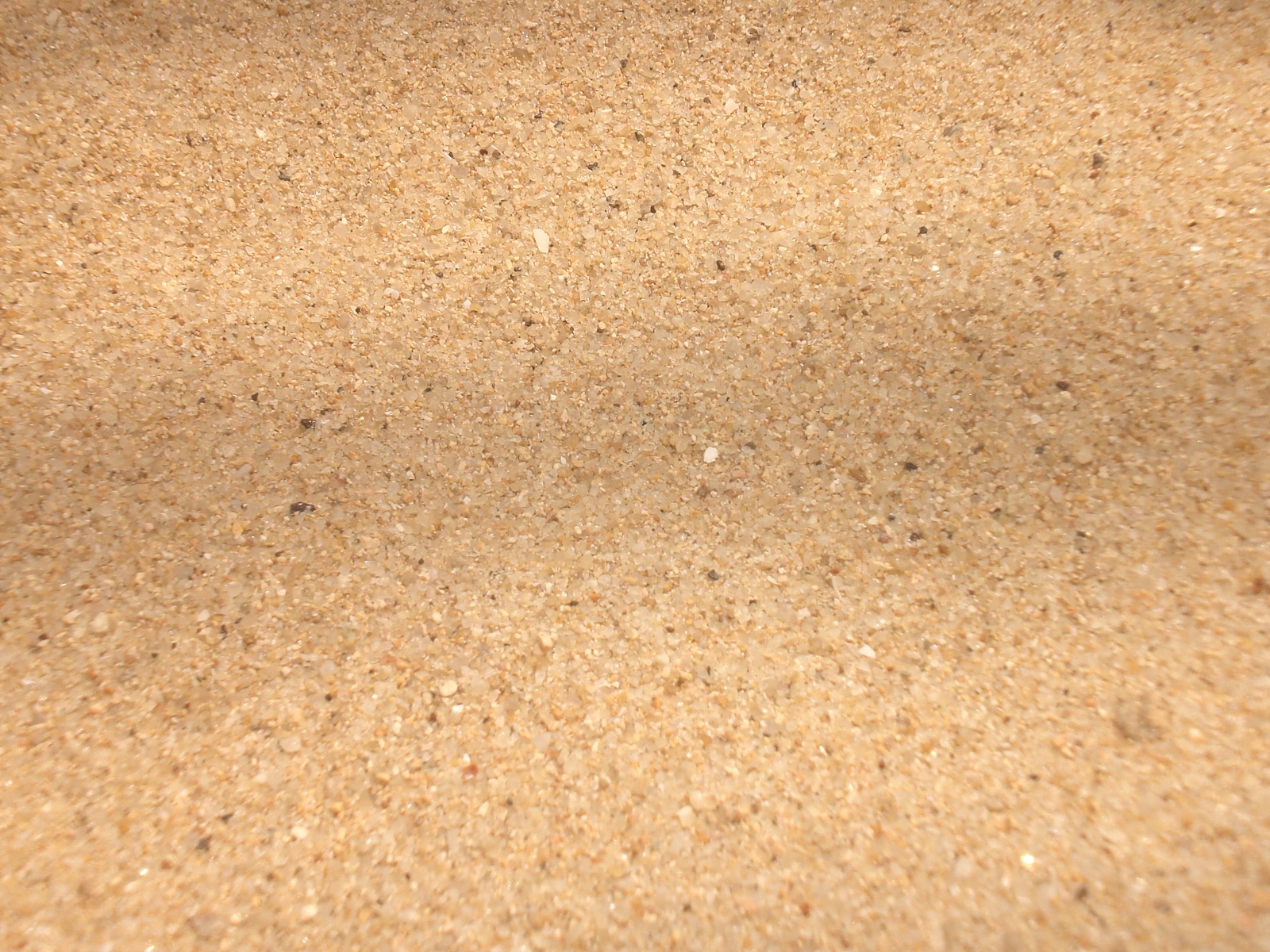 File:HK Cheung Chau Tung Wan Beach Sand 2.JPG - Wikimedia Commons