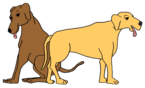 Clip Art - Rabbit, Longhorn Cow, Dog, Donkey, Kangaroo, Squirrel