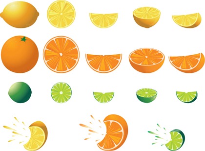 Free Citrus Fruit Vector | Free Vector Graphics | All Free Web ...
