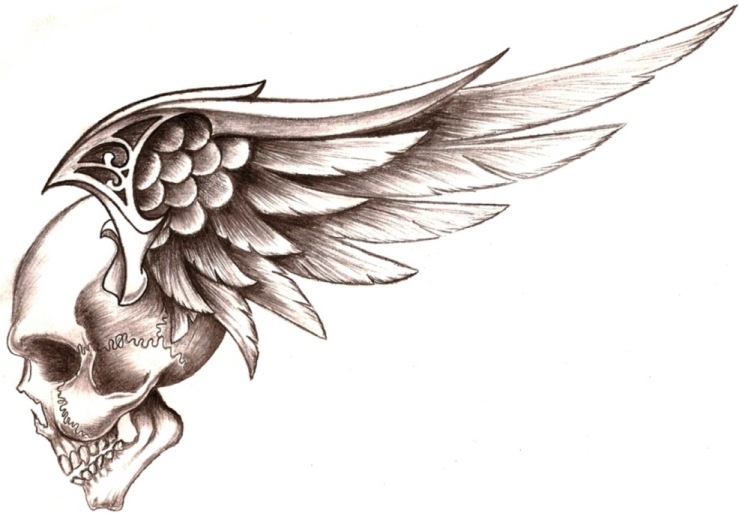 Skulls And Wings Wallpaper | coolstyle wallpapers.com