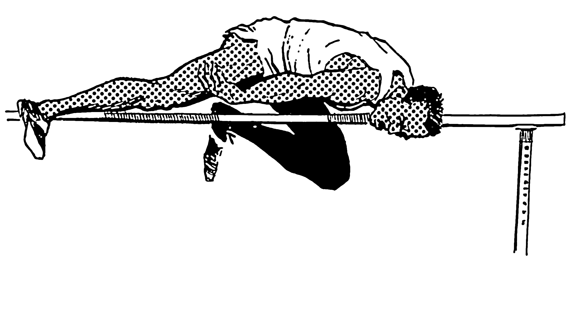 File:High Jump (PSF).png - Wikimedia Commons