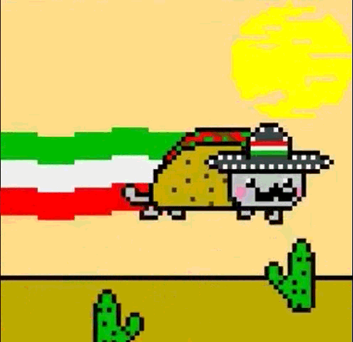 Cinco De Mayo GIFs on Giphy