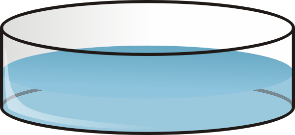Petri Dish clip art Free Vector / 4Vector
