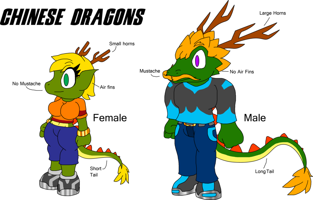 The Dragons of Arrow's World -Chinese Dragons- by spdy4 on DeviantArt