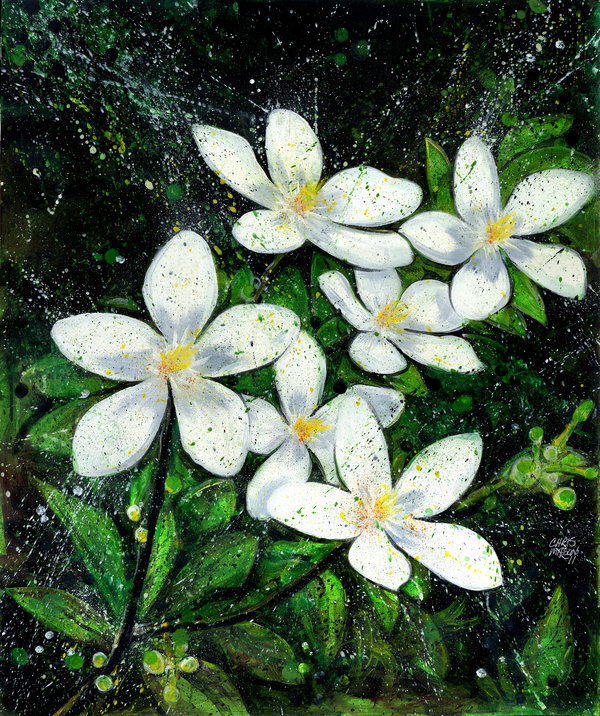 Browsing Paintings on DeviantArt