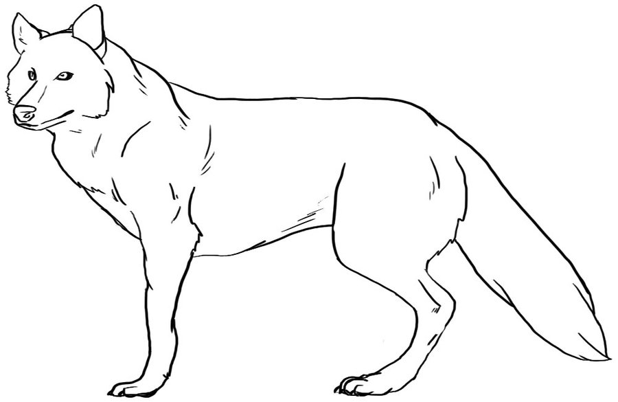 Wolf Line Art 2 by Kendra-candraw on DeviantArt