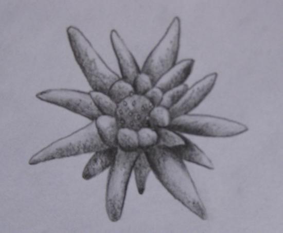 Gallery For > LA Tattoo Glendale AZ