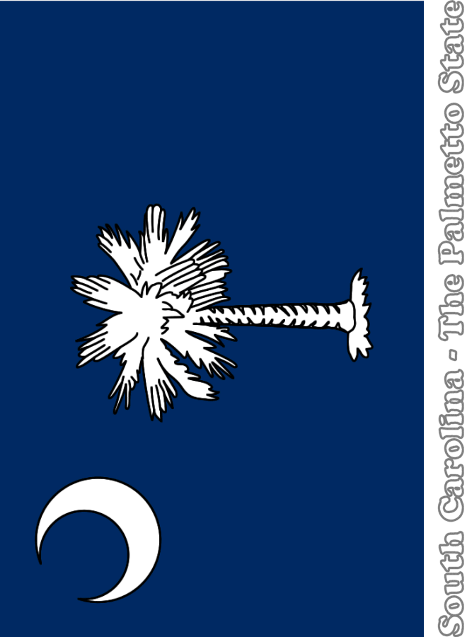 Large, Vertical, Printable South Carolina State Flag, from ...